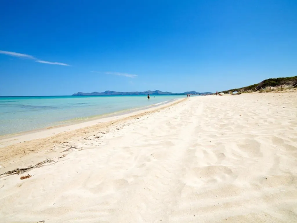 Natural Park Beach Port de Alcudia  Spagna